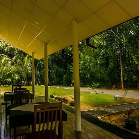 Little Ele Safari Lodge Udawalawe Exterior foto